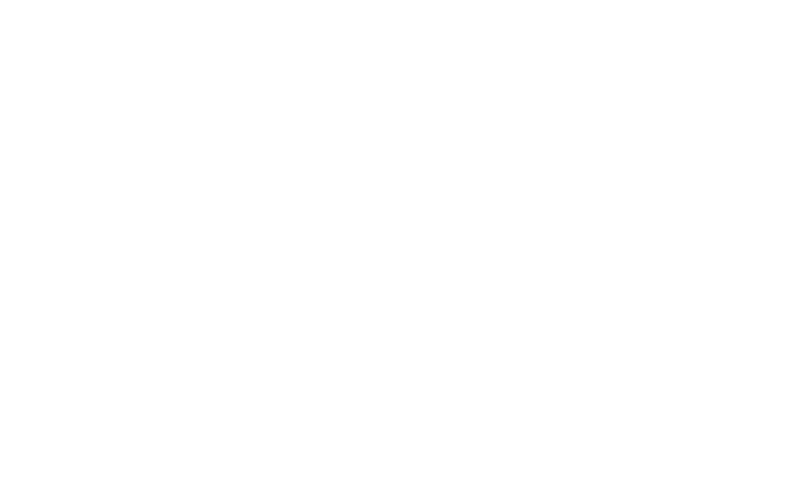 St. Pete Properties